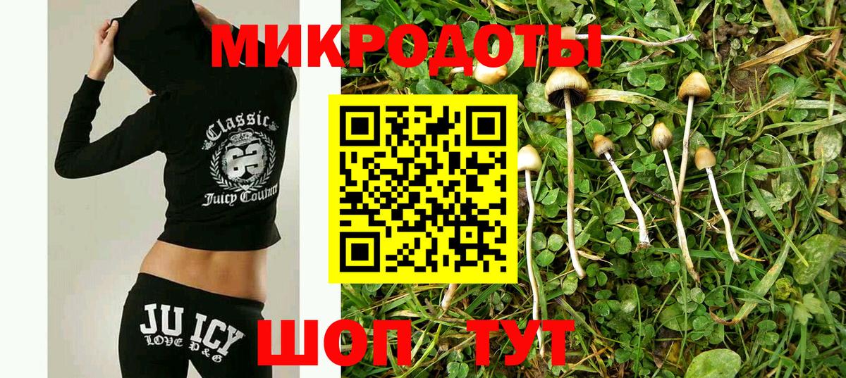 Псилоцибиновые грибы Cubensis Наро-Фоминск